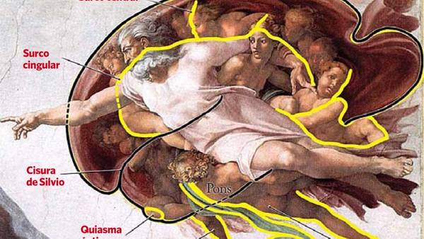 Dios y la ciencia. El artista habría representado un cerebro en su gran obra de la Capilla Sixtina.